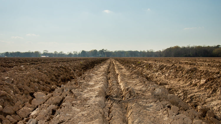 Before the Seed: Planter Clinic